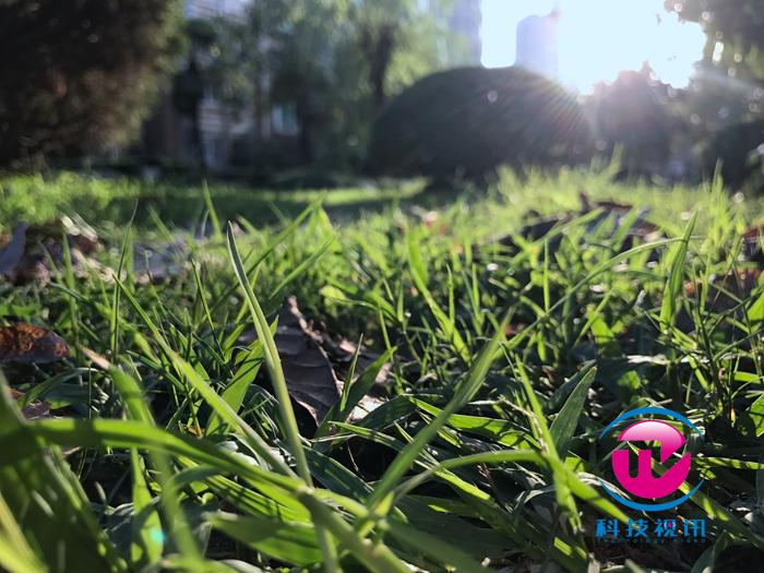 iphone7测评全部,苹果7现在到底值得买吗