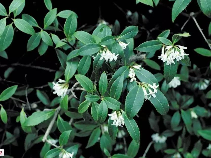 15个高颜值花园庭院设计,冬日无阳光的后花园庭院设计