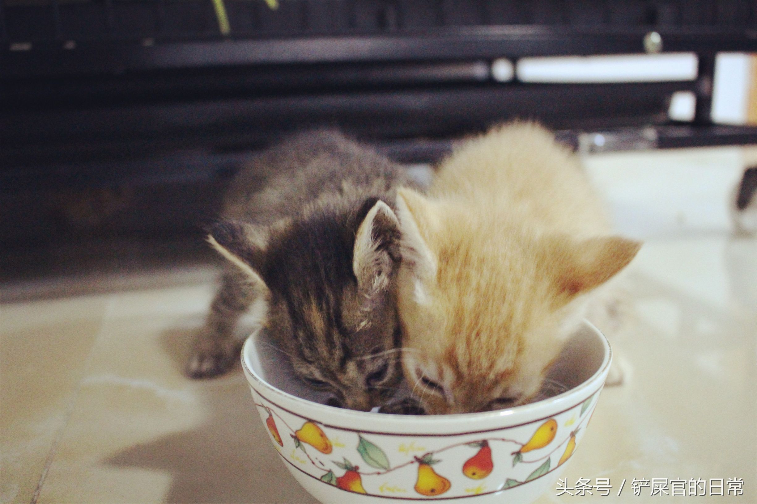 婊℃湀鐚挭鍊煎緱楂樺叴鐨勪簨,钀岀尗鍜垰婊℃湀