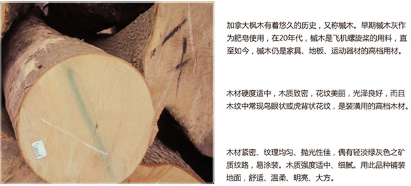 实木地板材质有哪些？实木地板哪种材质好