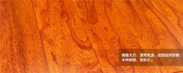 实木地板材质有哪些？实木地板哪种材质好