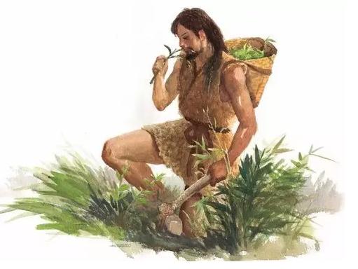 开学啦学英语,开学啦国学