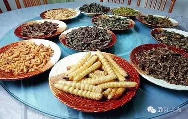 云南昆虫宴美食,云南特色虫宴