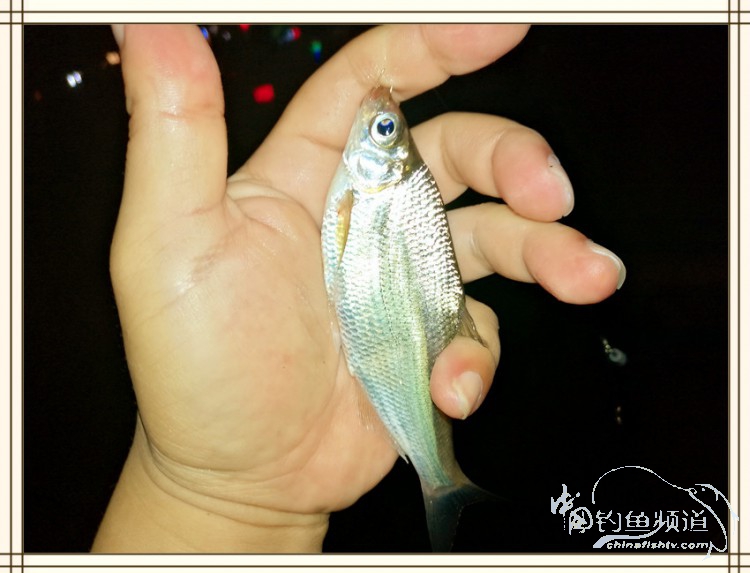 钓鱼独辟蹊径,钓鱼不求渔获