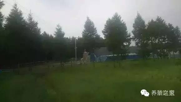 交流养殖经验找对方法很重要,交流养殖经验