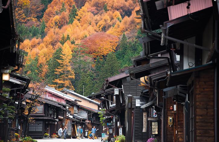 厉害了我的哥中文版,厉害了我的哥合集