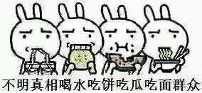 seo内容优化内参,seo行业大数据内参