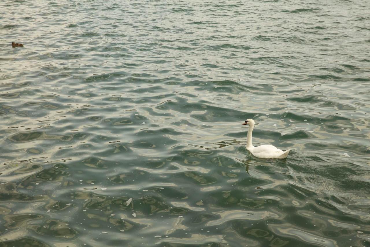 怎么自驾去欧洲旅游,自驾俄罗斯欧洲详细攻略