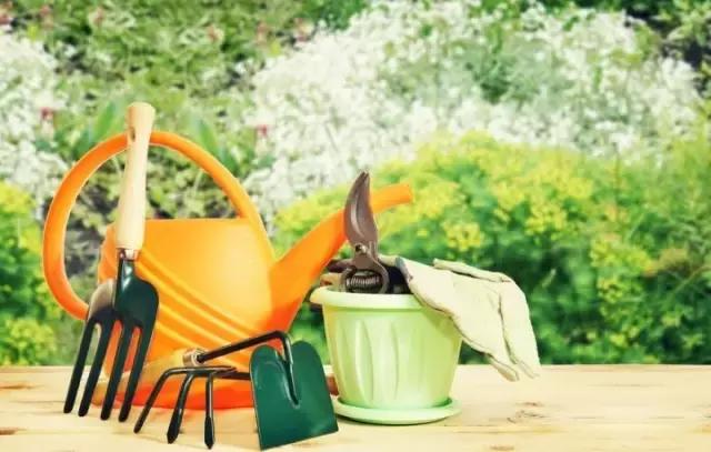 你盼着给祖国母亲过生日，我瞅着他们在自家种树