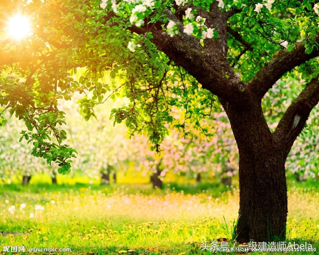 2016年一级建造师难吗,2016年一级建造师