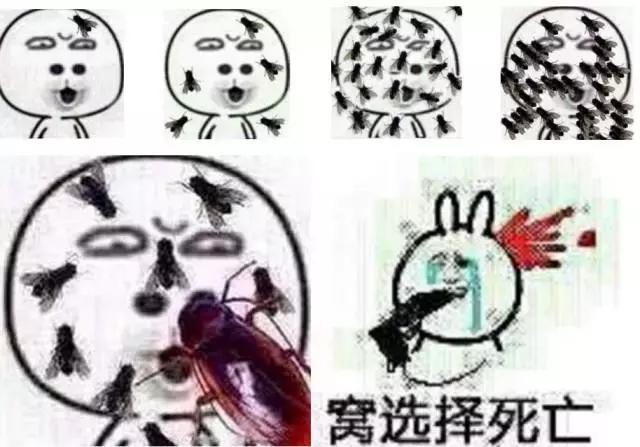 男神设计师走了以后,这间被爆改的纸片屋还能维持多久