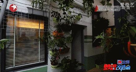 男神设计师走了以后,这间被爆改的纸片屋还能维持多久