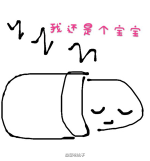 下雨天救助流浪猫,救助流浪猫一定要给猫咪定期驱虫