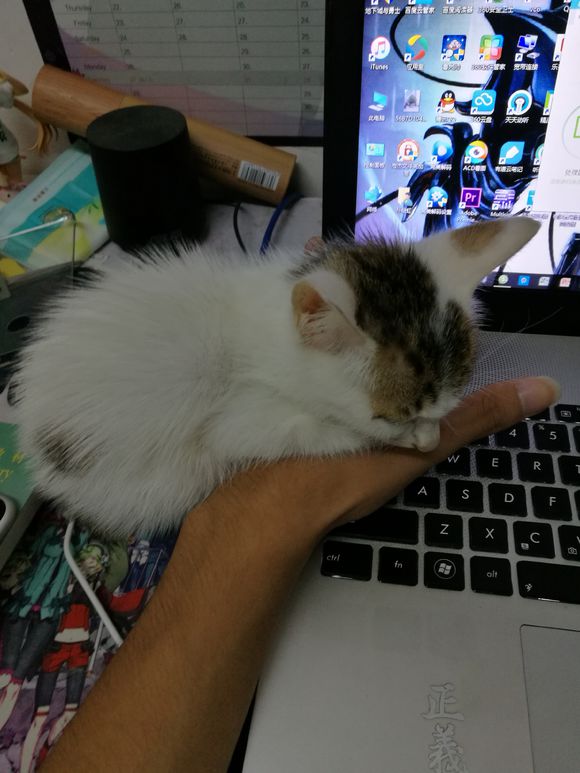 青春小蓝平板电脑怎么样,海尔青春小蓝2pro