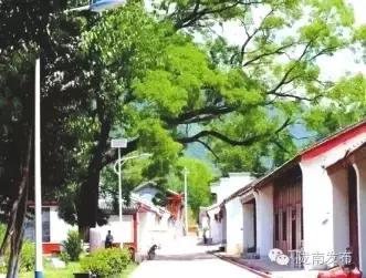 永远的长征完整视频,永远的长征朗诵