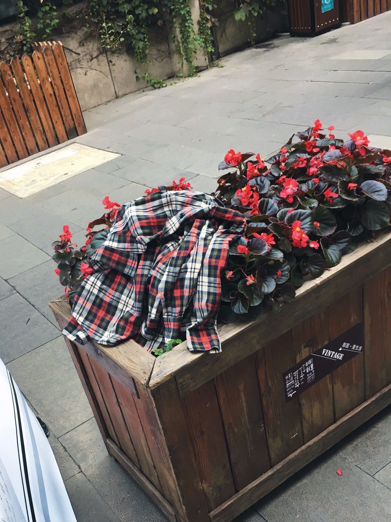 有趣的灵魂都成群结队,有趣的灵魂层出不穷