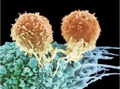 液体活检的“太子”们：ctDNA与CTC