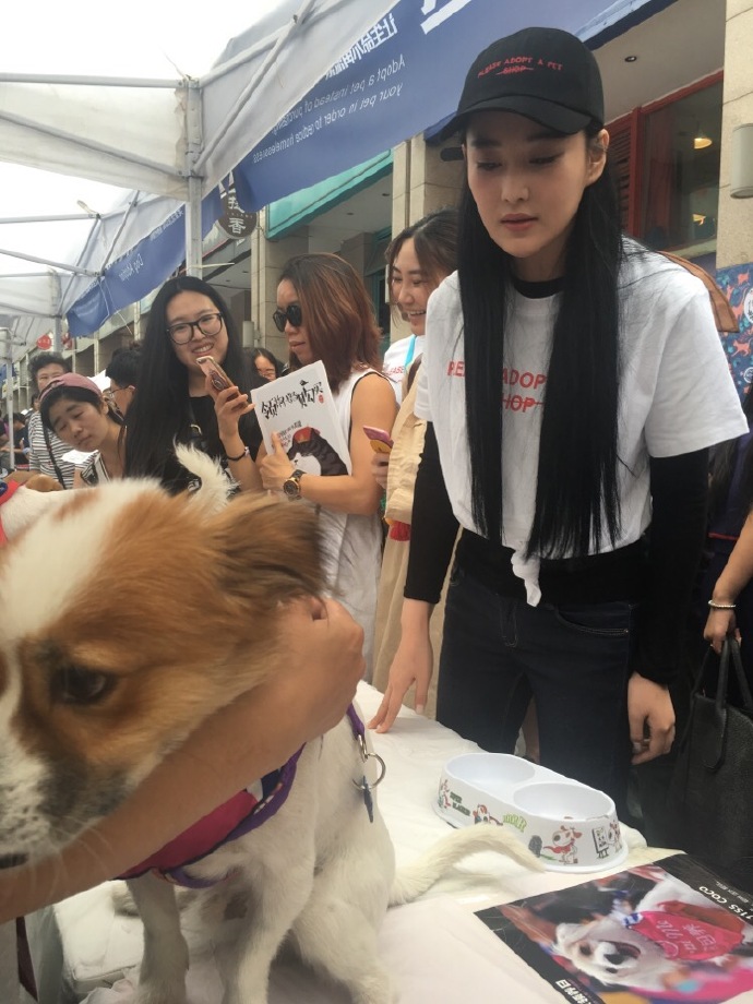 馨予出席宠物领养日很有爱,为何却被网友吐槽!