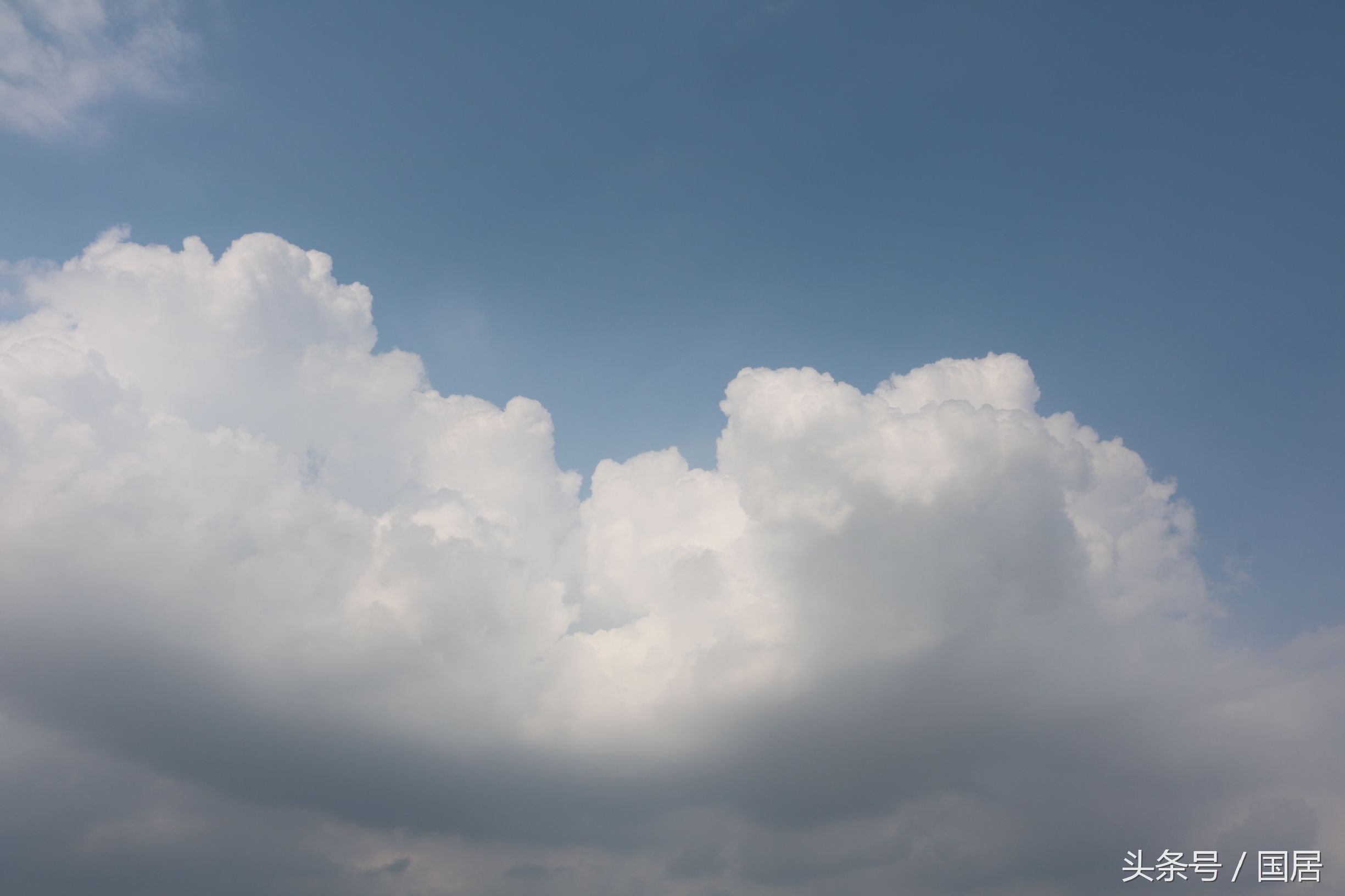 口感最好的上等口粮,平价口粮推荐
