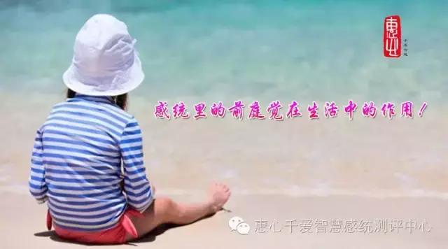 前庭觉训练的作用,感觉统合训练中前庭平衡觉的器具