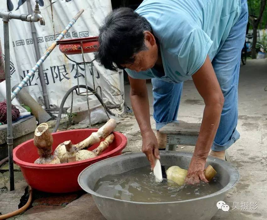 葫芦迷的“八不正瓶”