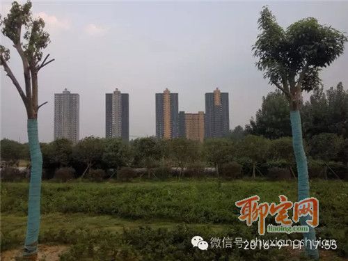 书香水岸质量怎么样,书香水岸好吗