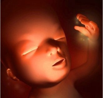 怎么判断自己怀孕了还是假孕,有没有假怀孕的症状