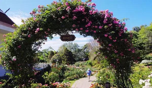 这些泰国之最！你知道几个？