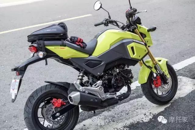 摩托家/交友需谨慎,中毒就是钱!——本田MSX125SF