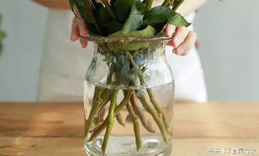 鲜花插花图解大全,鲜花醒花后怎么插花好看