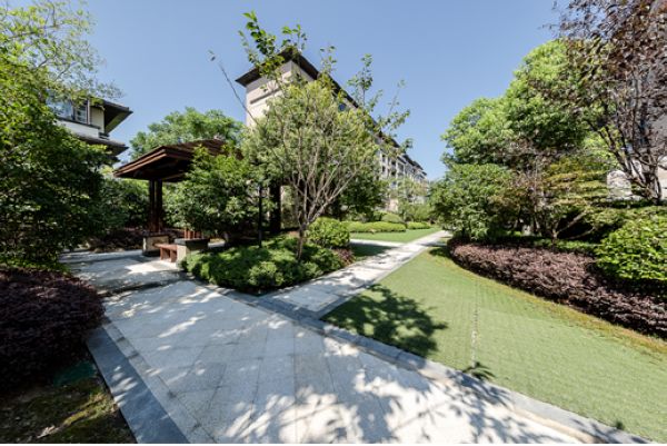 风光之道-阿卡迪亚是怎样炼成的？