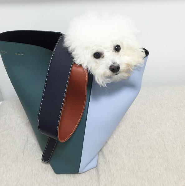 菜篮子大火特火这件瑟尔你怎么解释？