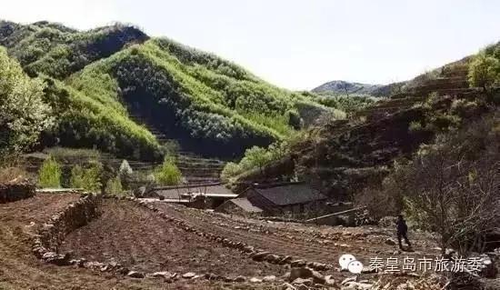 重磅，秦皇岛八个镇“升级”为全国重点镇！快看有没有你的家乡