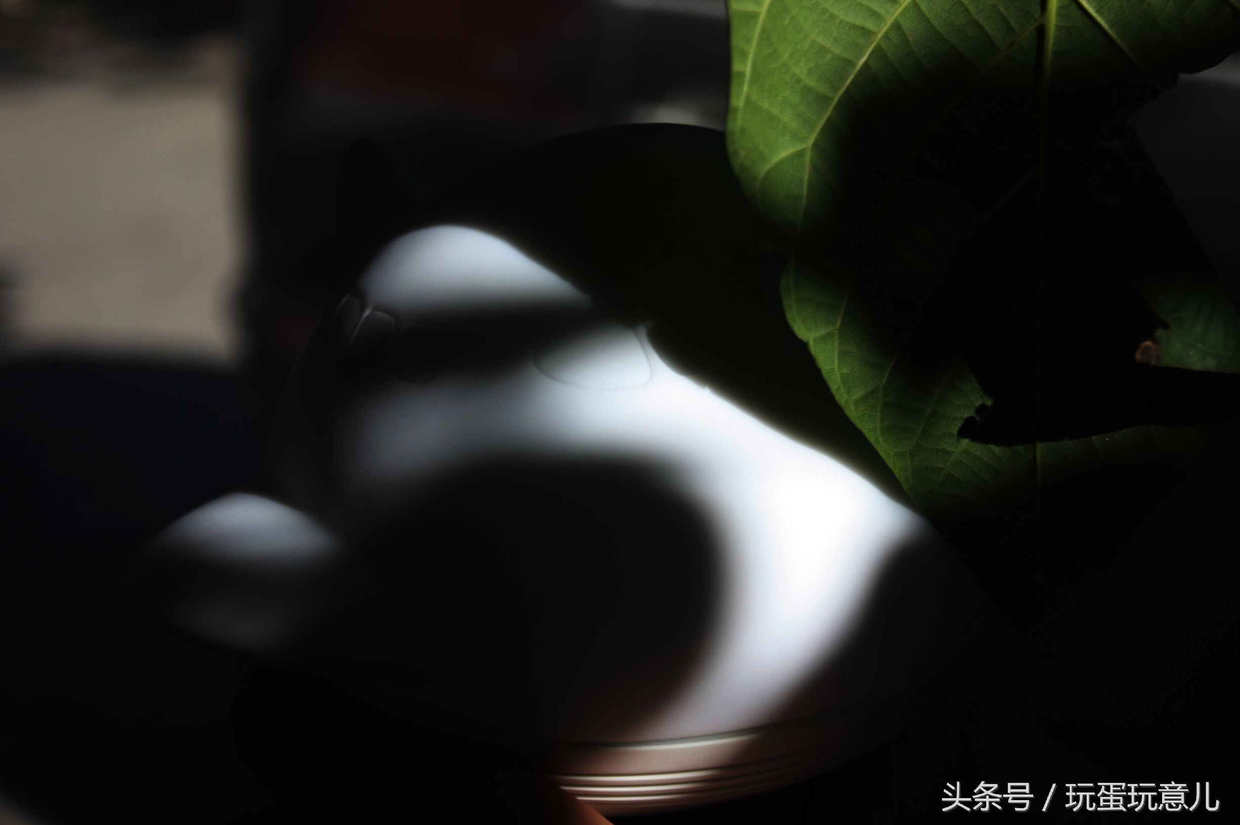 照星爷的话讲，想撩妹吗我教你！AirWhale智能音响灯体验