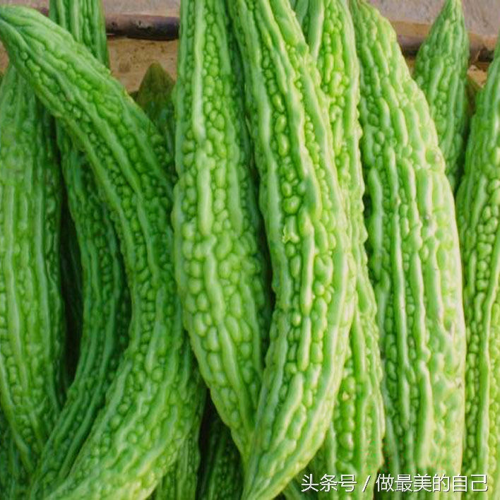 苦瓜你是吃的苦，还是吃的健康呢？