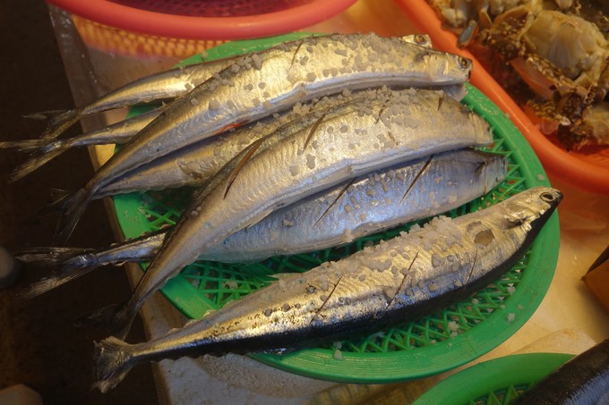 3月济州岛旅游游记,四月的济州岛机票