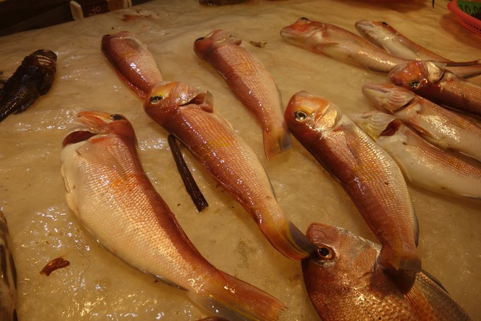 3月济州岛旅游游记,四月的济州岛机票