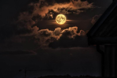 乔任梁为何在月圆之夜自杀？月圆之夜的秘密