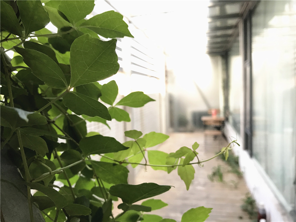 关于iphone7的最大缺点,不吹不黑手机体验