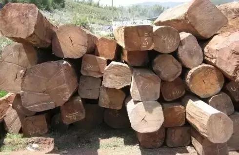 缅甸花梨大果紫檀木材市场,缅甸花梨红木家具市场