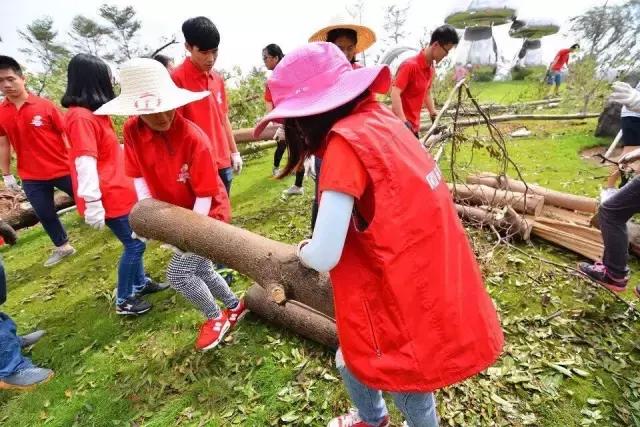 台风后的厦门值得一看,台风过后的厦门依然美丽