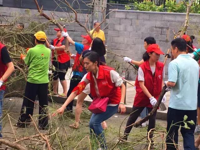 台风后的厦门值得一看,台风过后的厦门依然美丽