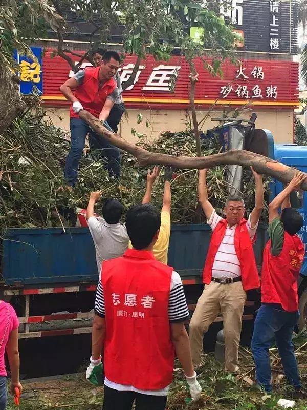 台风后的厦门值得一看,台风过后的厦门依然美丽