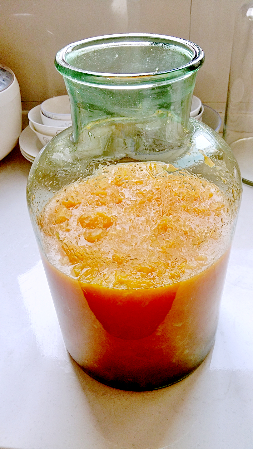 铅华洗尽岁月静好，来，喝了这杯再说吧！自酿酒集合