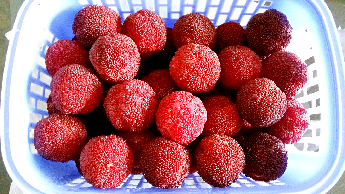 铅华洗尽岁月静好，来，喝了这杯再说吧！自酿酒集合