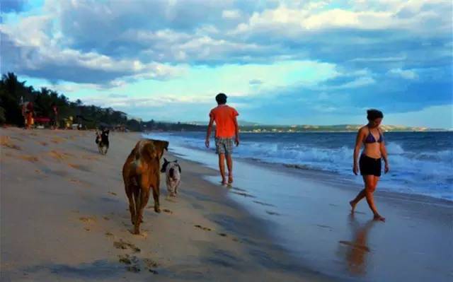 越南美丽的季节,越南越美