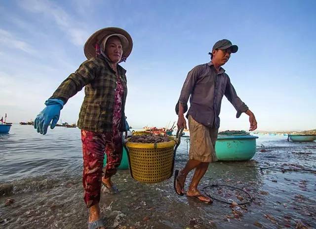 越南美丽的季节,越南越美