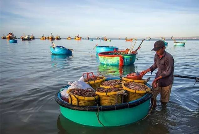 越南美丽的季节,越南越美