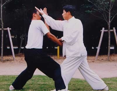 河南有什么拳,河南最凶狠拳种