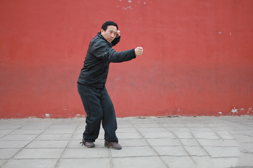 河南有什么拳,河南最凶狠拳种